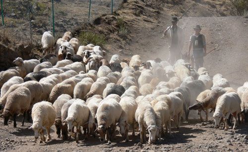 ASAGA Canarias cree que el consenso de industria y distribución es un 