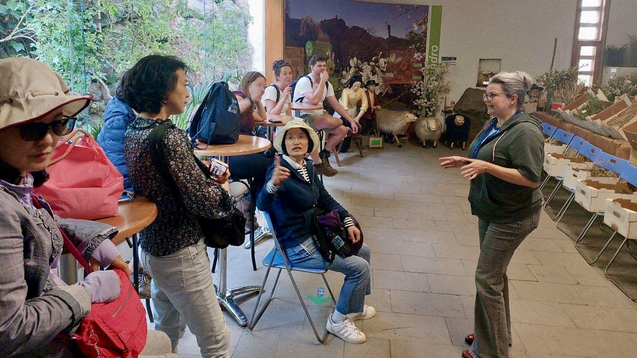 El Summer School de la ULPGC preparado para recibir a los estudiantes de español