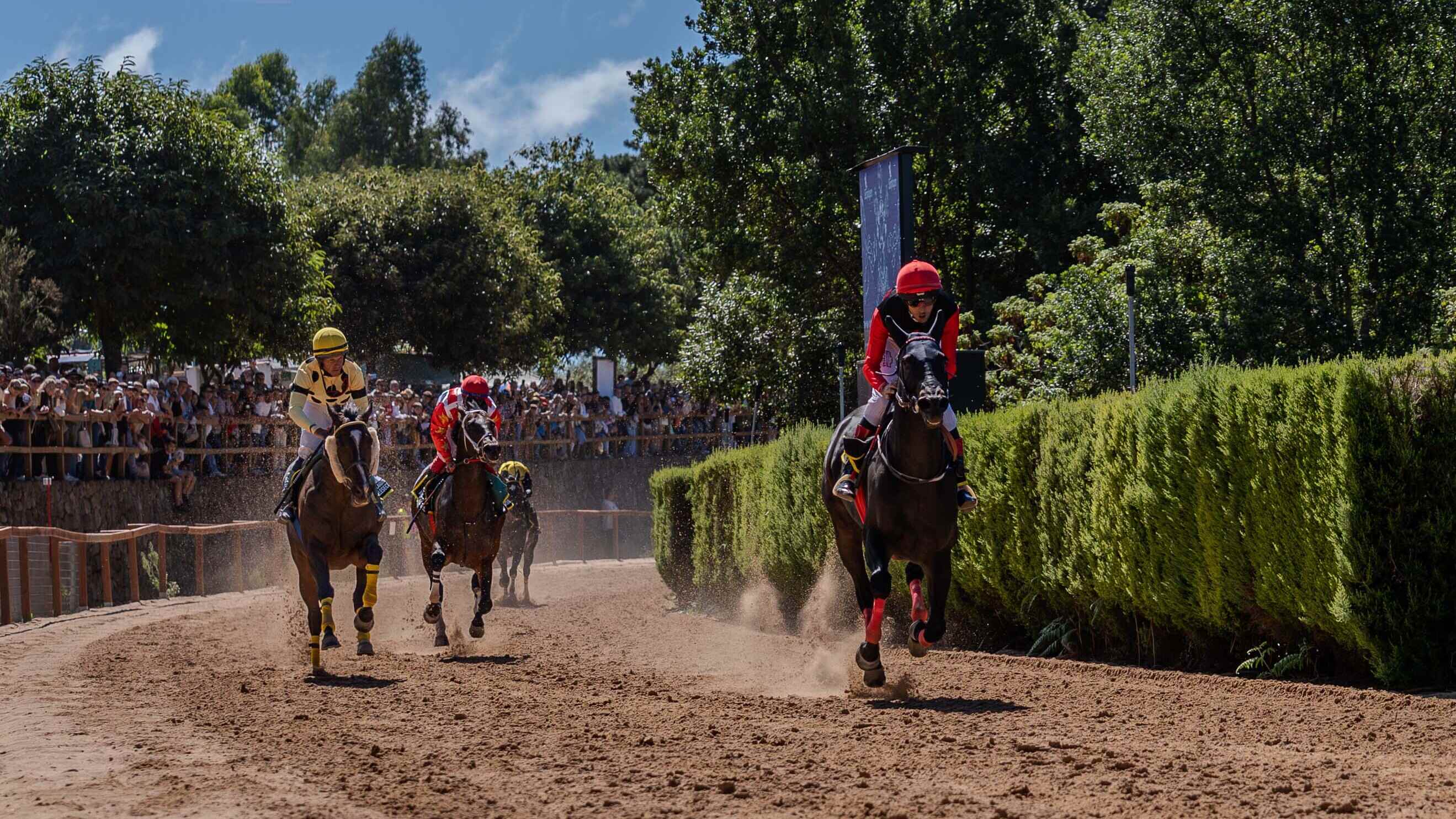 Récord de público en la Feria de Ganado de Valleseco, que reunió a más de 5.000 visitantes