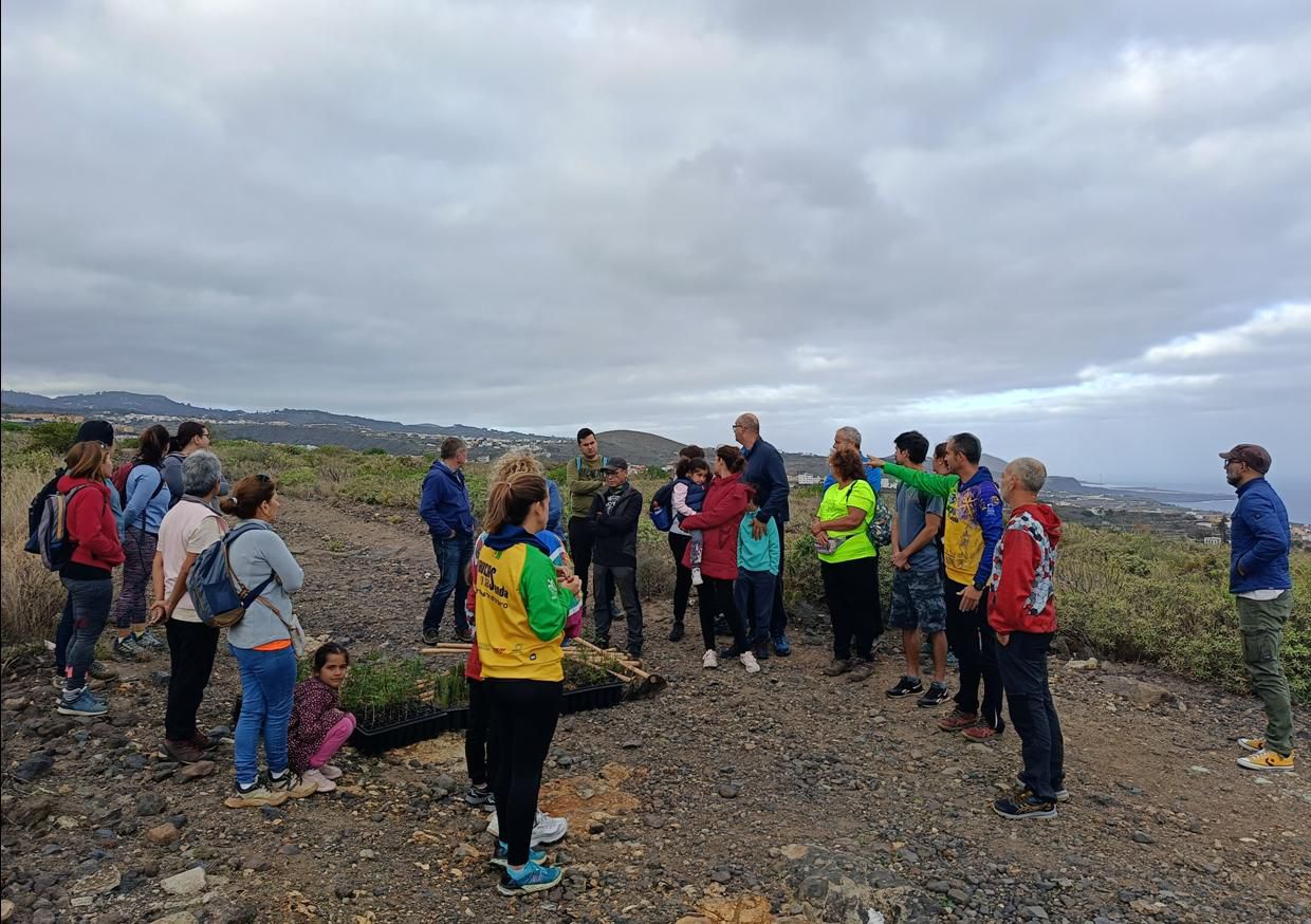 Activat y La Vinca EeA plantan 150 ejemplares de cardones, almácigos y lentiscos
