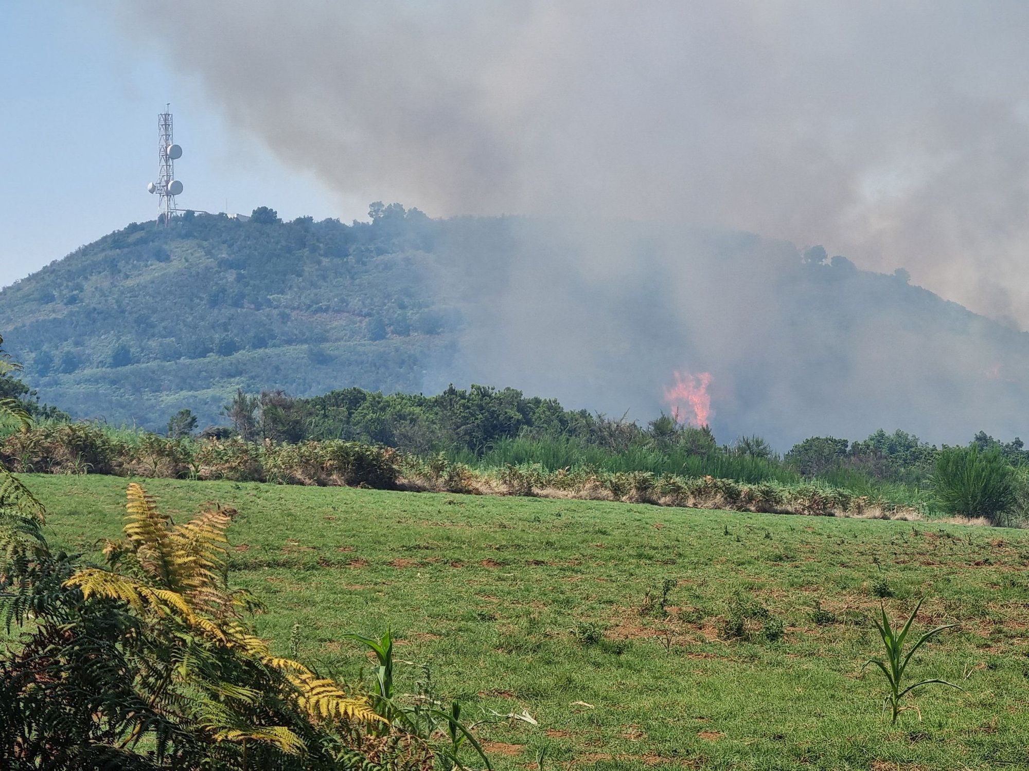 Estabilizado el incendio originado ayer miércoles en La Laguna (Tenerife) 
