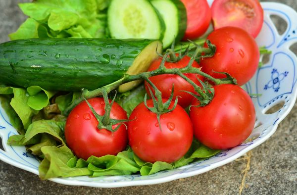 Canarias exporta 76.618 toneladas de productos hortofrutícolas, 2.000 más