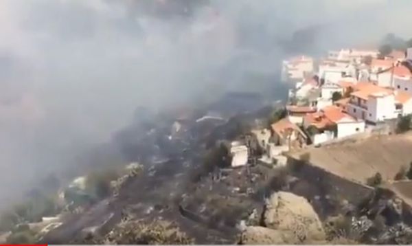 VIDEO - La Felicidad de un Bombero al lograr que el fuego no alcanzace las viviendas