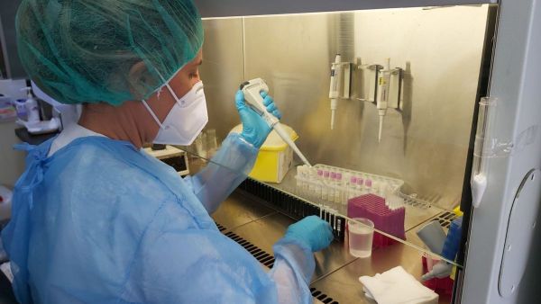 DETECTAN nueve casos de la VARIANTE de Río de Janeiro en Canarias
