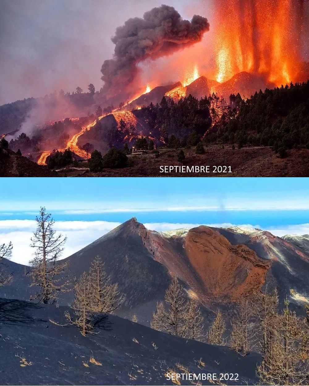 El volcán de Cumbre Vieja en La Palma cumple 365 días: Las cifras de una cicatriz aún abierta 