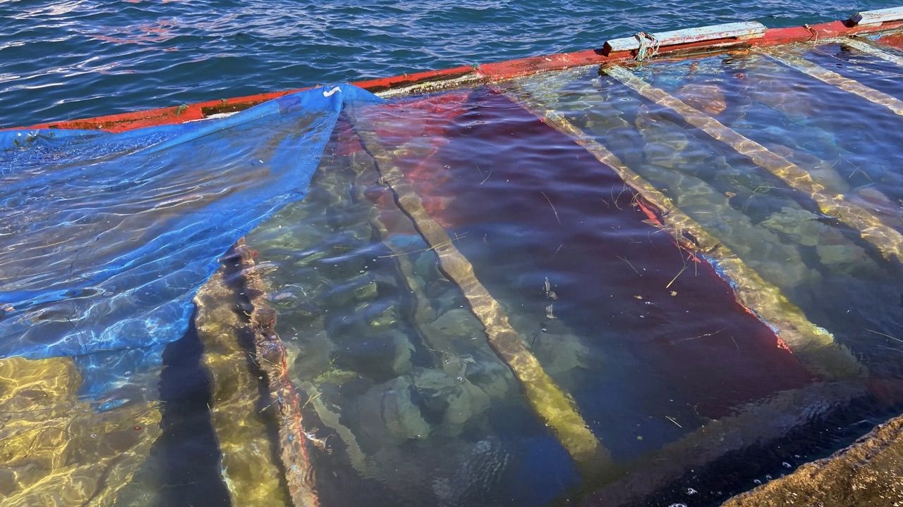 Rescatado un cayuco con cinco muertos y 68 supervivientes a 815 Kms de El Hierro