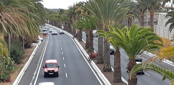 Un septuagenario herido de carácter grave tras un atropello en Gran Canaria