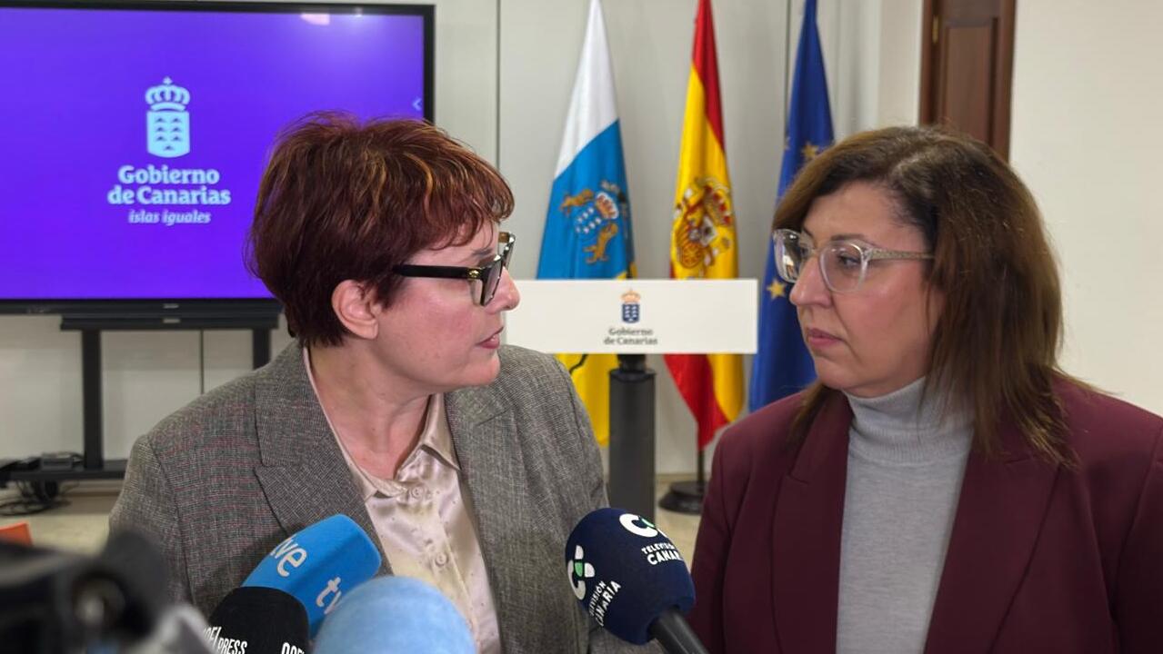 Delgado pide a Ángel Víctor Torres que se implique en conseguir las plazas para los menores en la Península