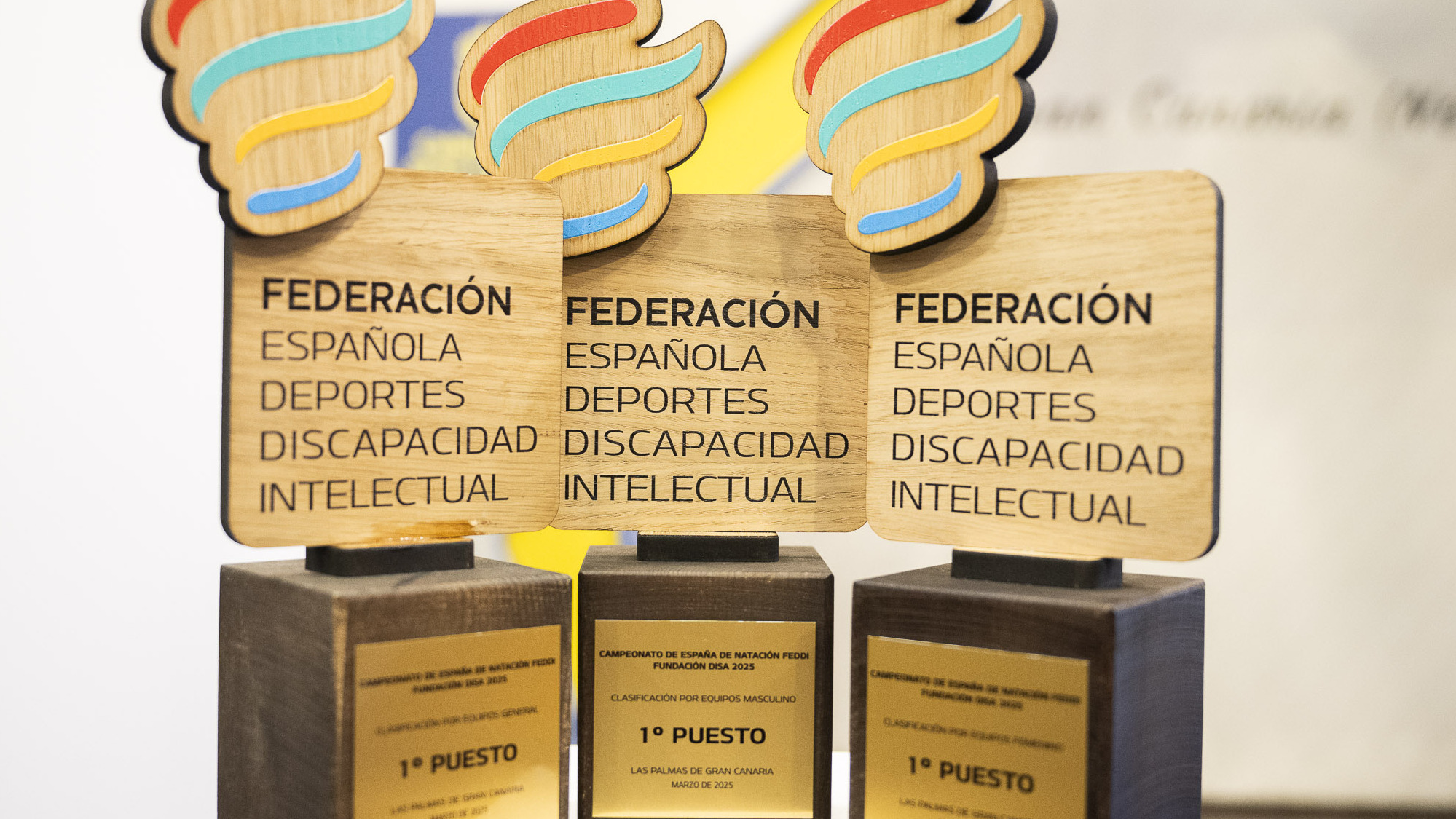 El Cabildo rinde homenaje al CN Las Palmas tras conquistar el Campeonato de España FEDDI
