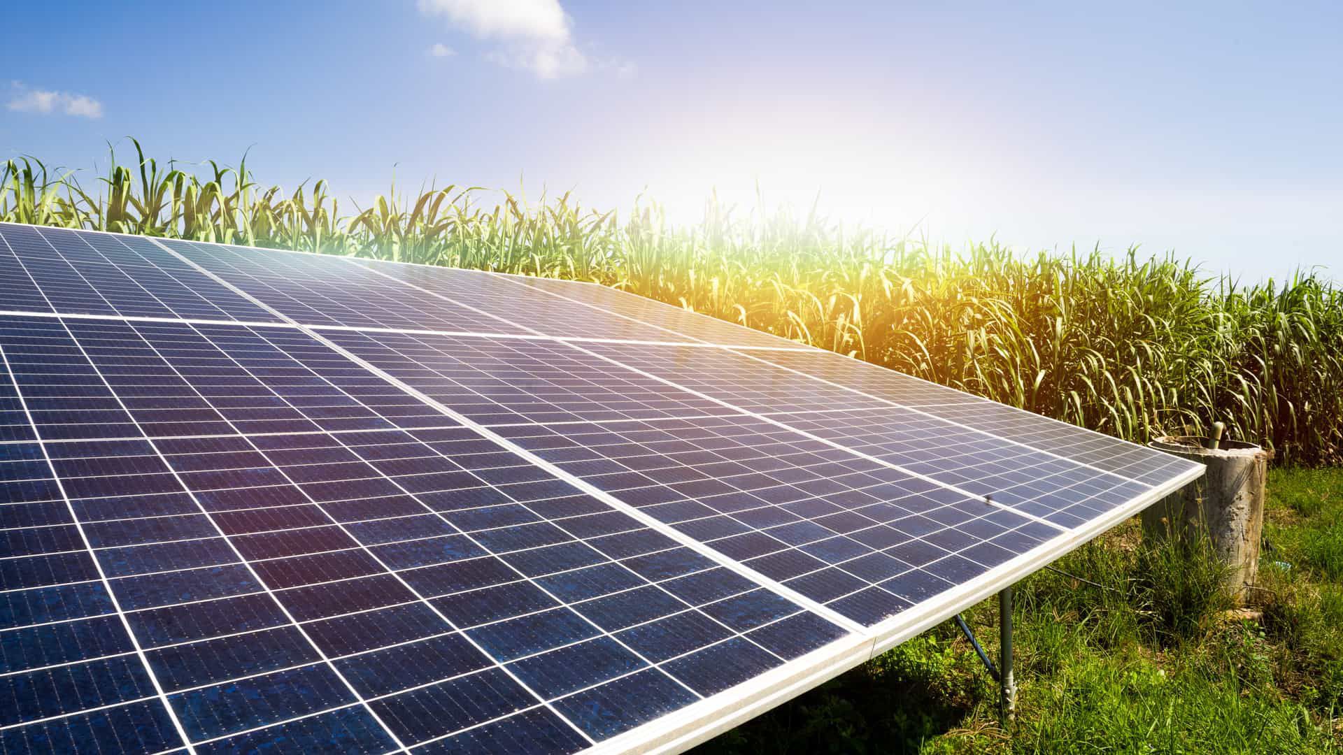 Canarias subvencionará la energía fotovoltaica en los espacios antropizados