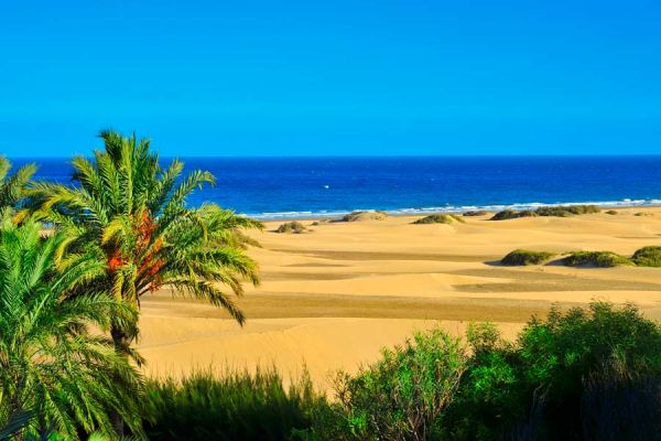 Gran Canaria el primer destino turístico para este invierno según TUI