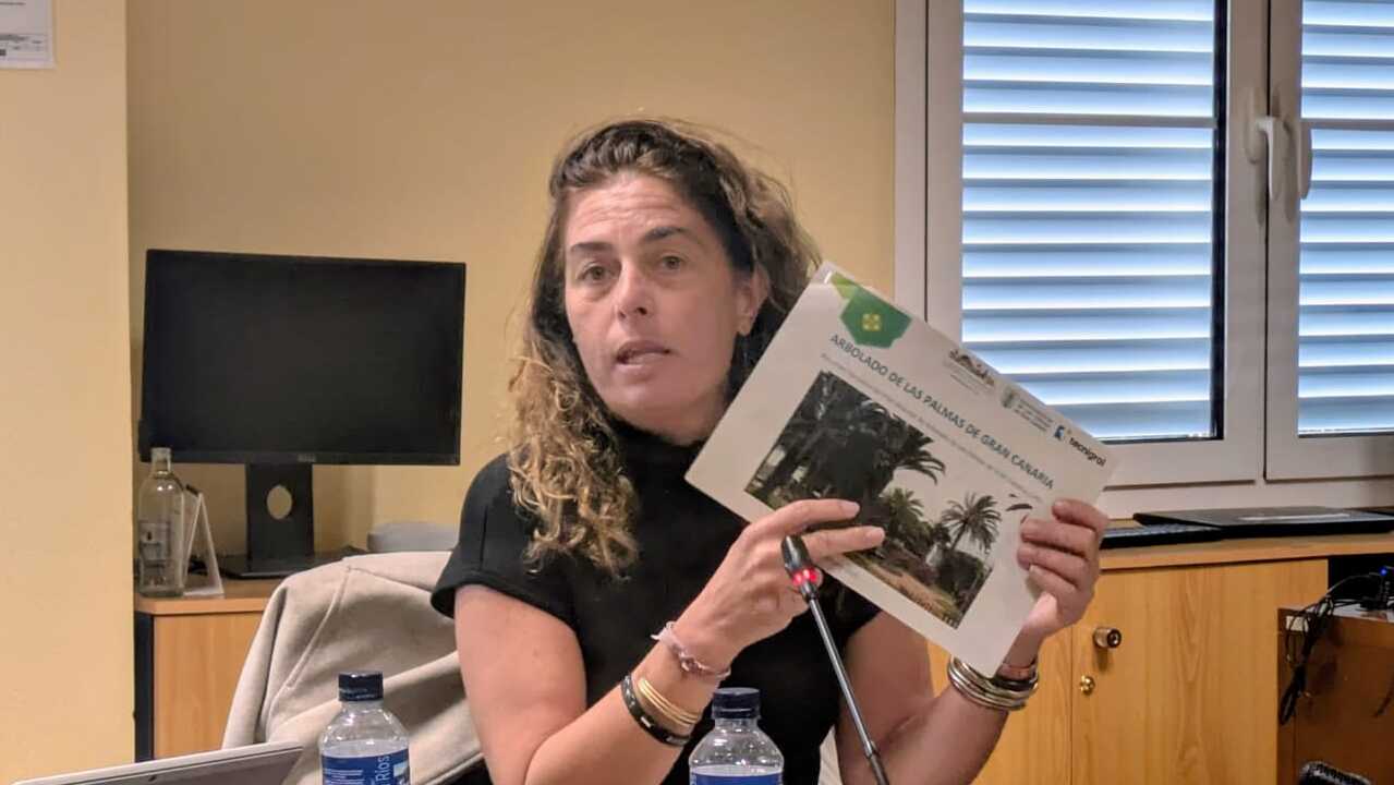 Martínez Soliño presenta en Comisión el primer Plan Director de Arbolado de Las Palmas de Gran Canaria