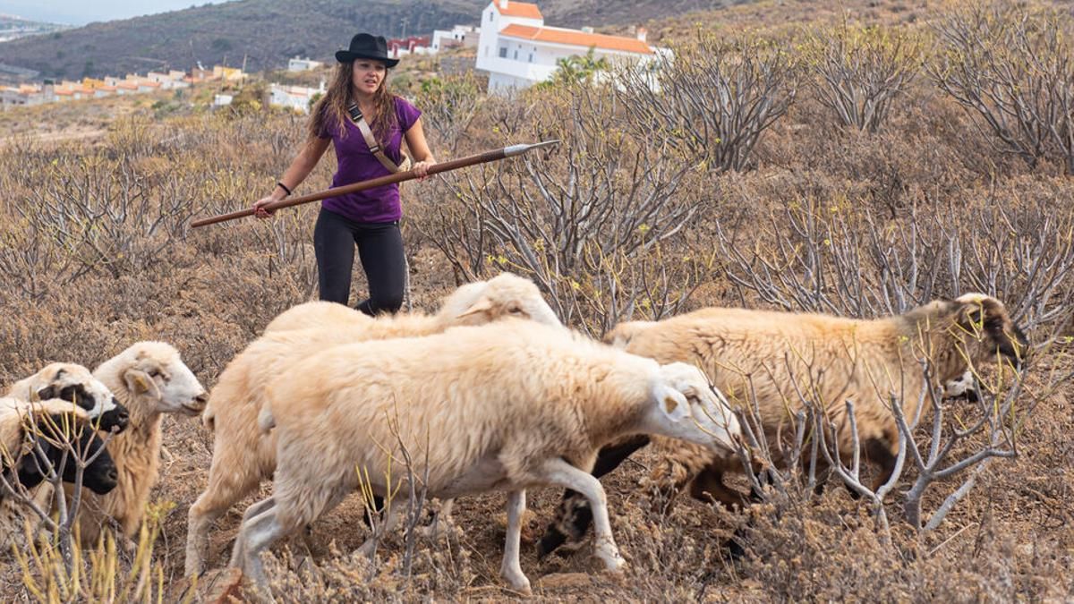 Ambito Rural La I Mesa de la Mujer en el ámbito rural de Canarias propone sus ...