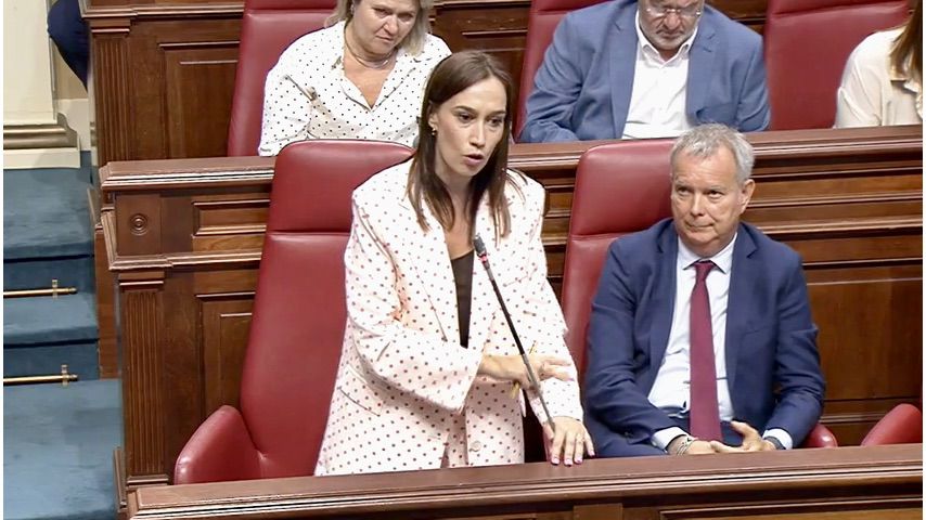 Fierro a Domínguez sobre el Pacto por la Inmigración: 
