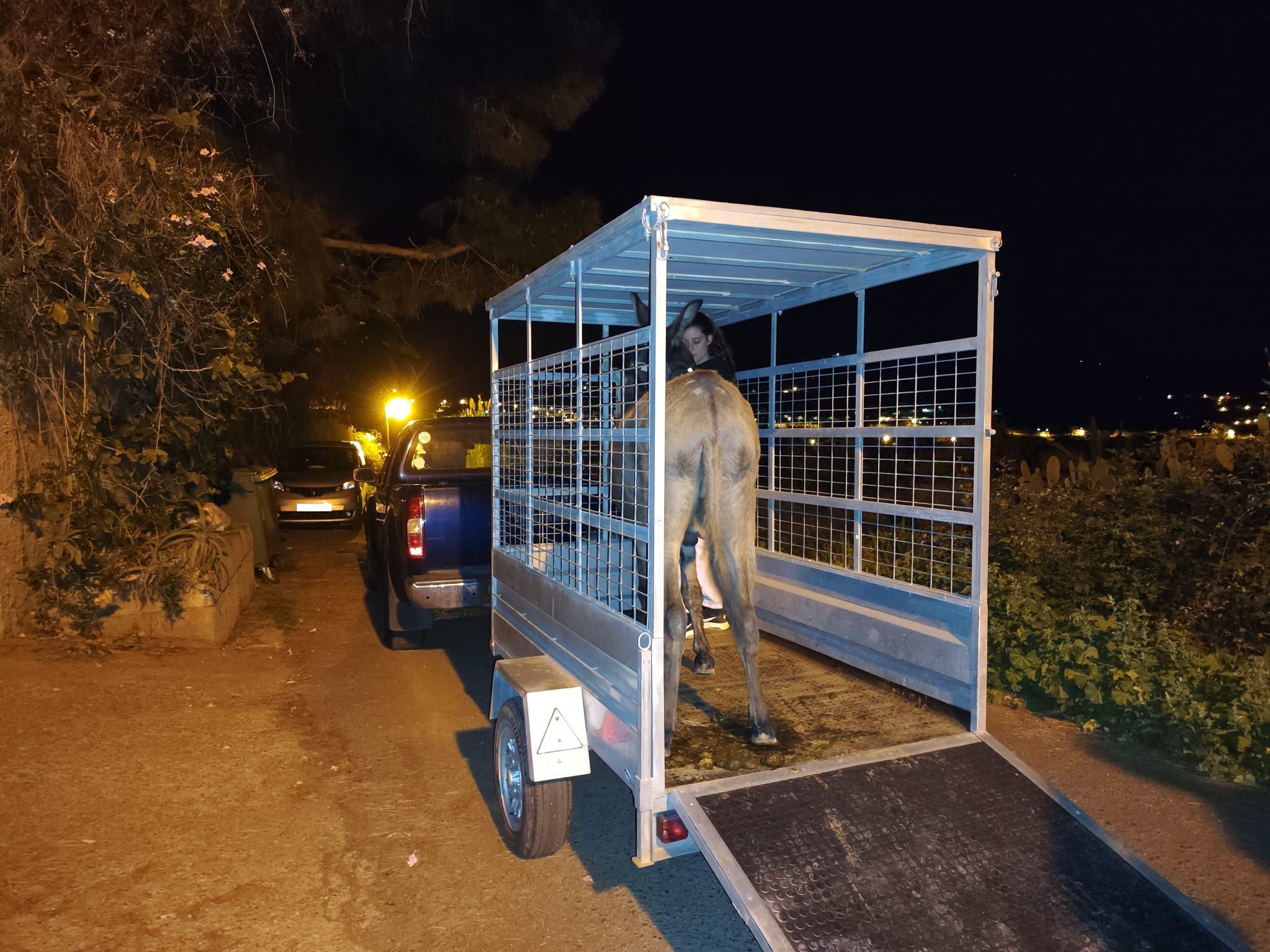 Un burro y un perro recogidos por Bienestar Animal en La Pardilla