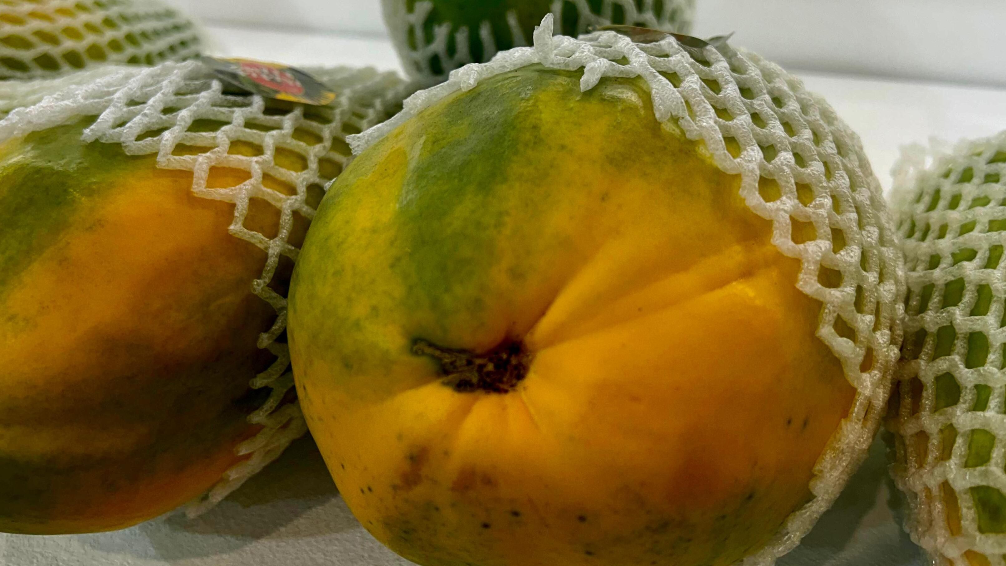 La papaya canaria se convierte en la reina de las exportaciones 