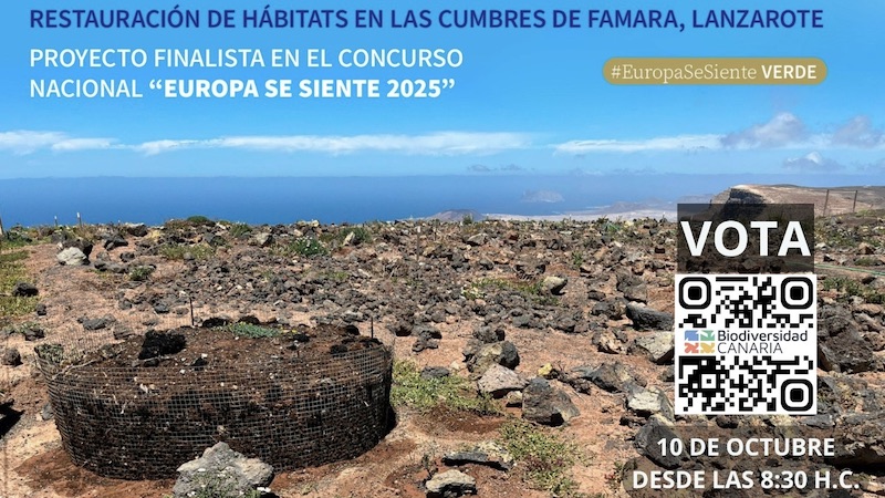 El proyecto de Famara busca el respaldo popular en el certamen «Europa se siente»