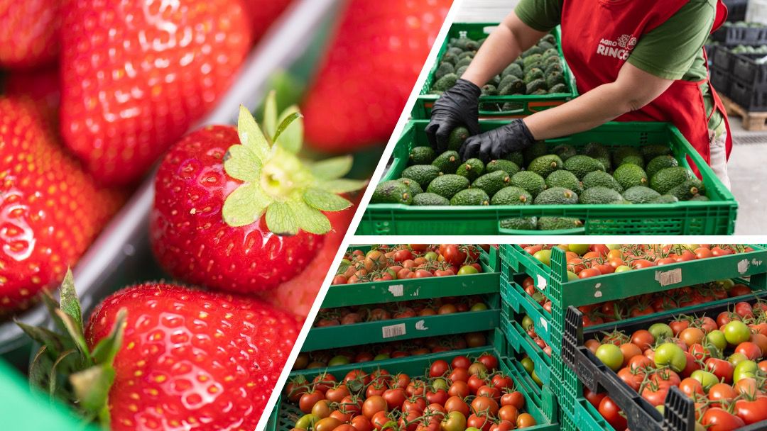 MERCADONA REFUERZA EN CANARIAS SU APUESTA POR LA FRUTA Y VERDURA DE ORIGEN LOCAL