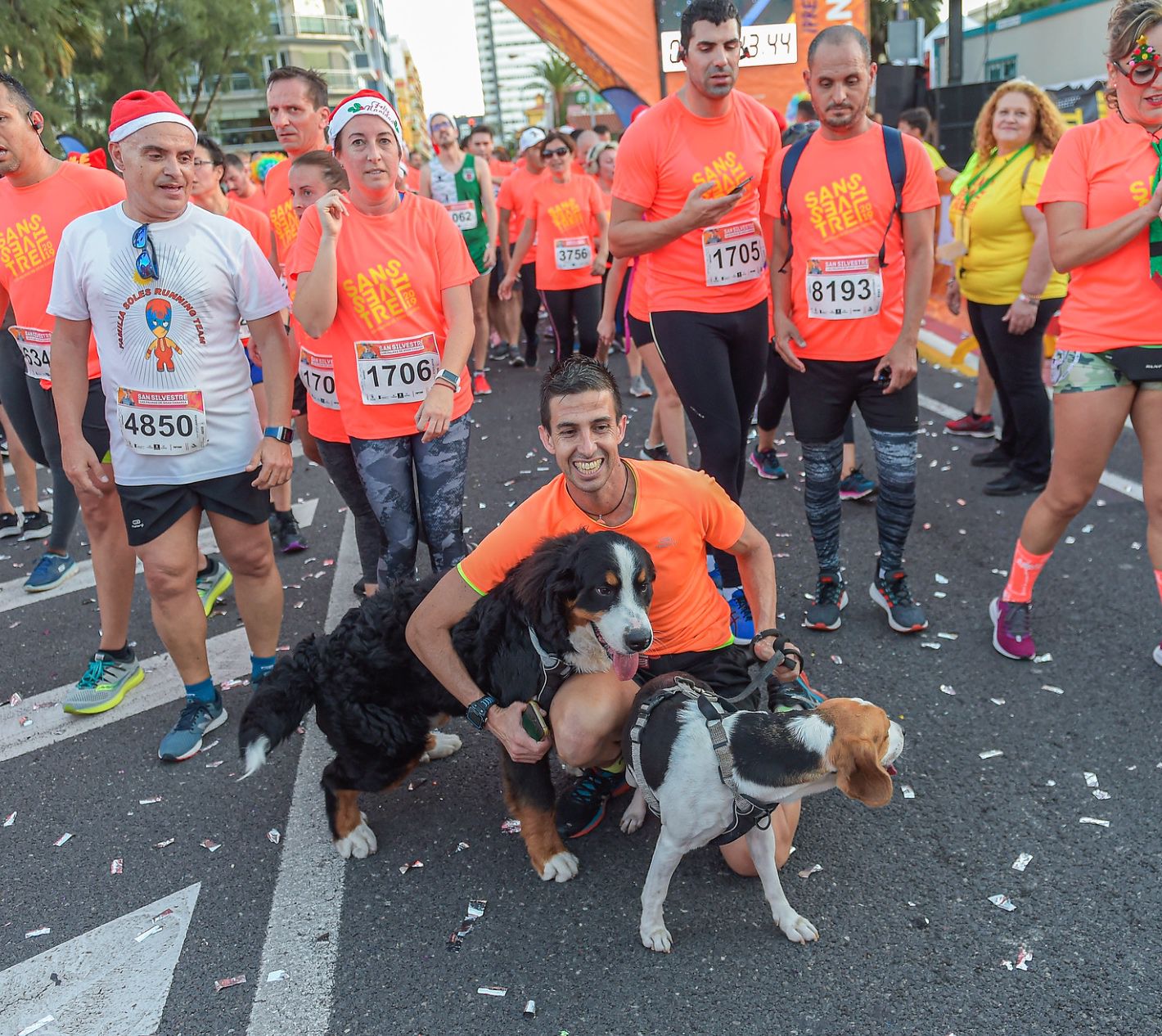 Llega la San Silvestre que permite la compañía de las mascotas