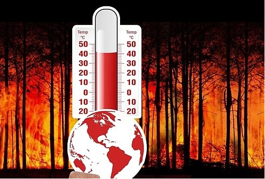 Gran Canaria, Tenerife, El Hierro, La Gomera y La Palma en alerta por incendios forestales