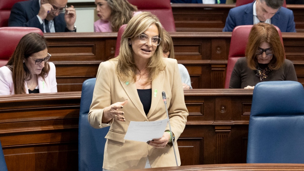 Monzón anuncia la puesta en marcha de un programa de atención a personas sin hogar con adicciones en Tenerife