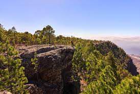 El Cabildo de Gran Canaria activa la época de riesgo alto de incendios forestales