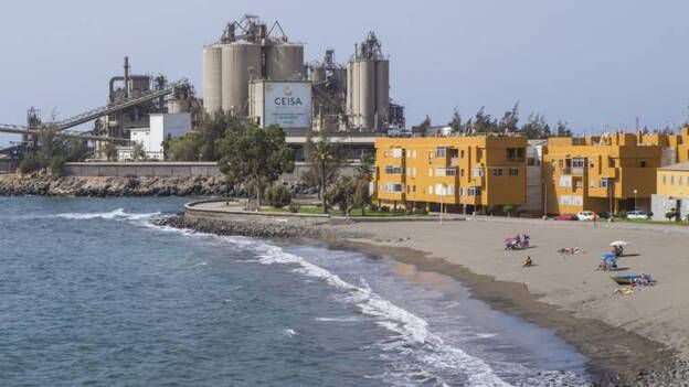 El ayuntamiento de San Bartolomé y colectivos vecinales defienden la cementera de Arguineguín