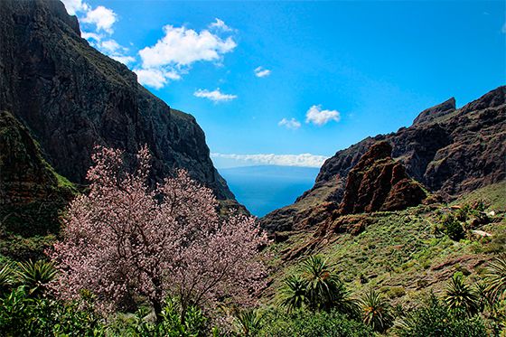 Hoy lunes a las 15.33 llega La Primavera