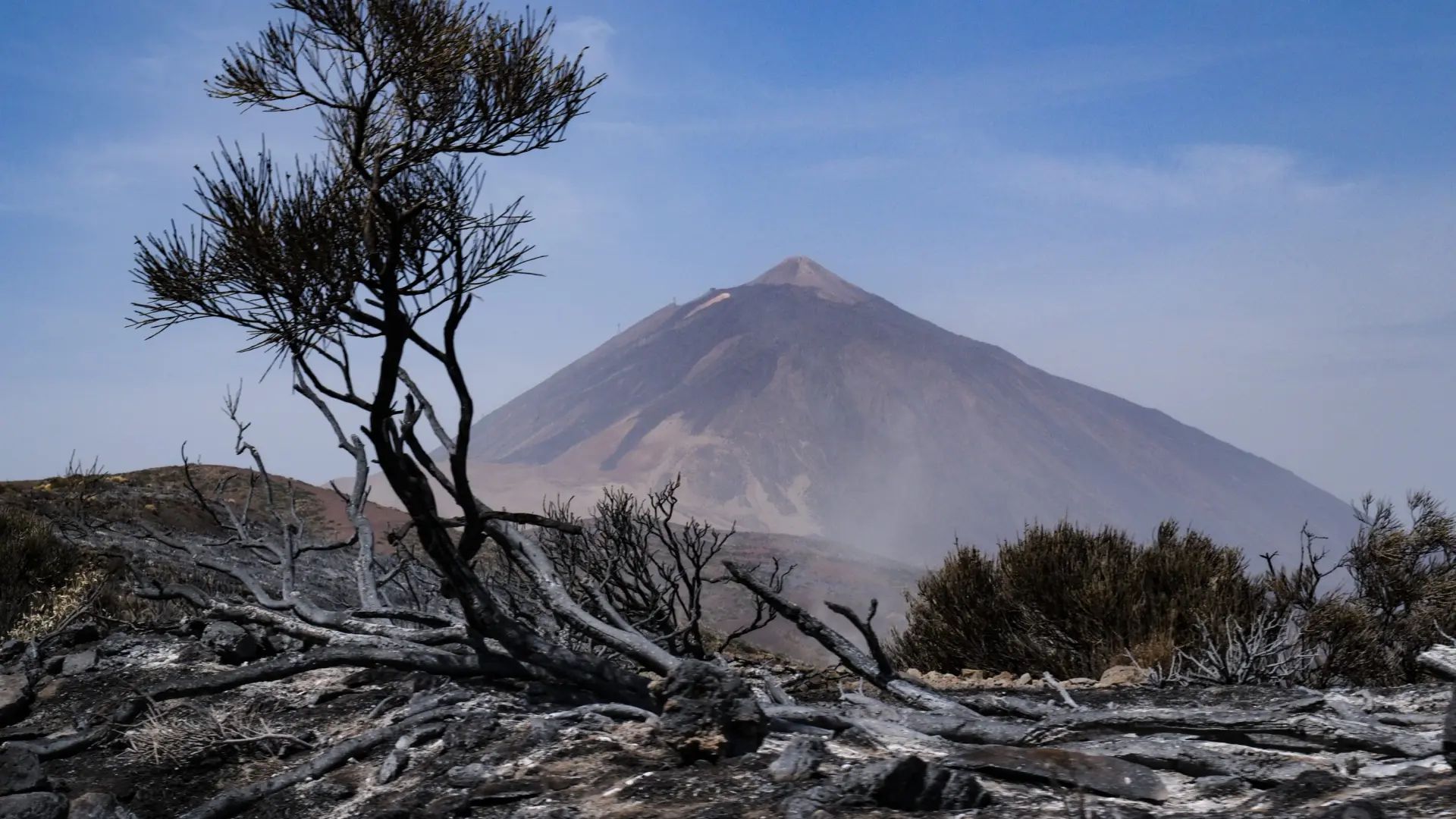 Los trabajos de extinción son “muy duros” y las reactivaciones obligan a evacuar 7 casas en Tenerife