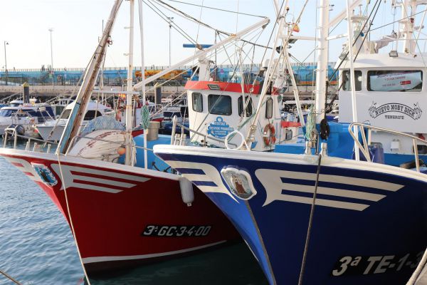 249 embarcaciones inician este jueves 20 de febrero la campaña de atún rojo en Canarias