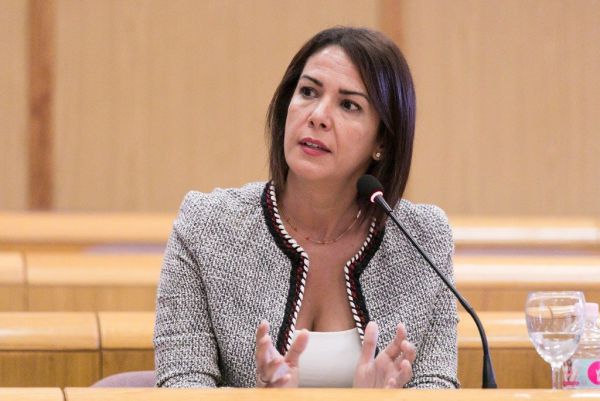 CC, PP y Evelyn Alonso (Cs) registran este lunes la moción de censura contra la alcaldesa Patricia Hernández