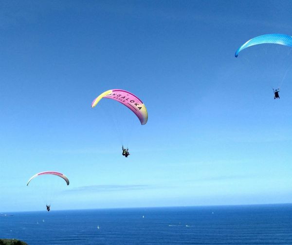 Un parapentista resulta herido al sufrir una caída en Gran Canaria