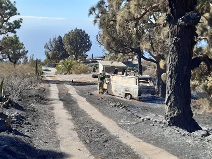 El Gobierno de Canarias da por controlado el incendio en Garafía (La Palma)