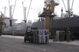El sector del tomate en Canarias clama el pago 