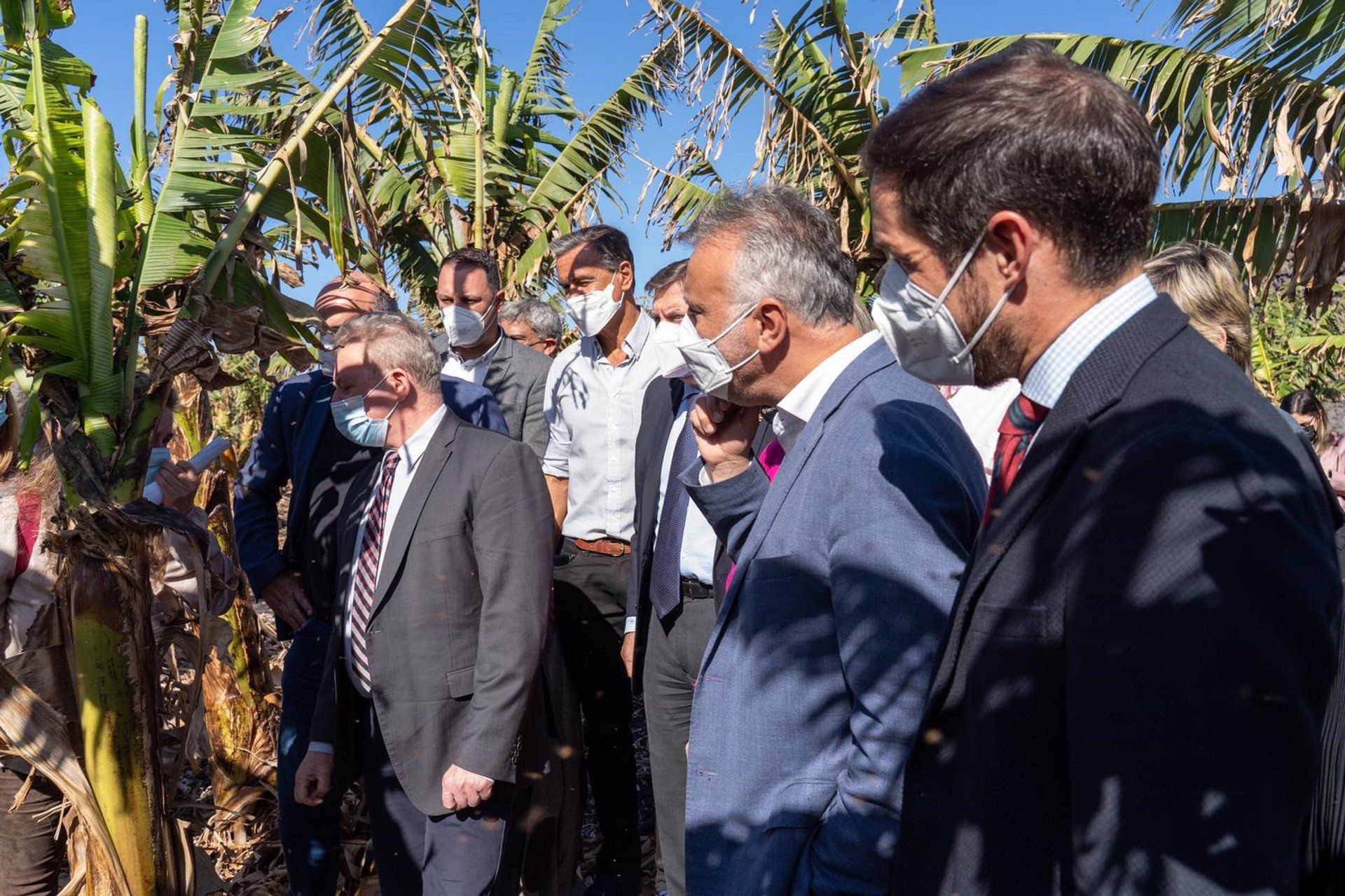 El Comisario de Agricultura ve 