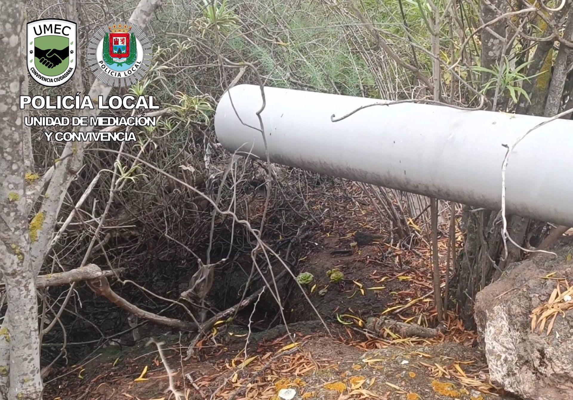 Denuncian al propietario de una finca de Las Palmas de Gran Canaria por el vertido continuo de aguas residuales