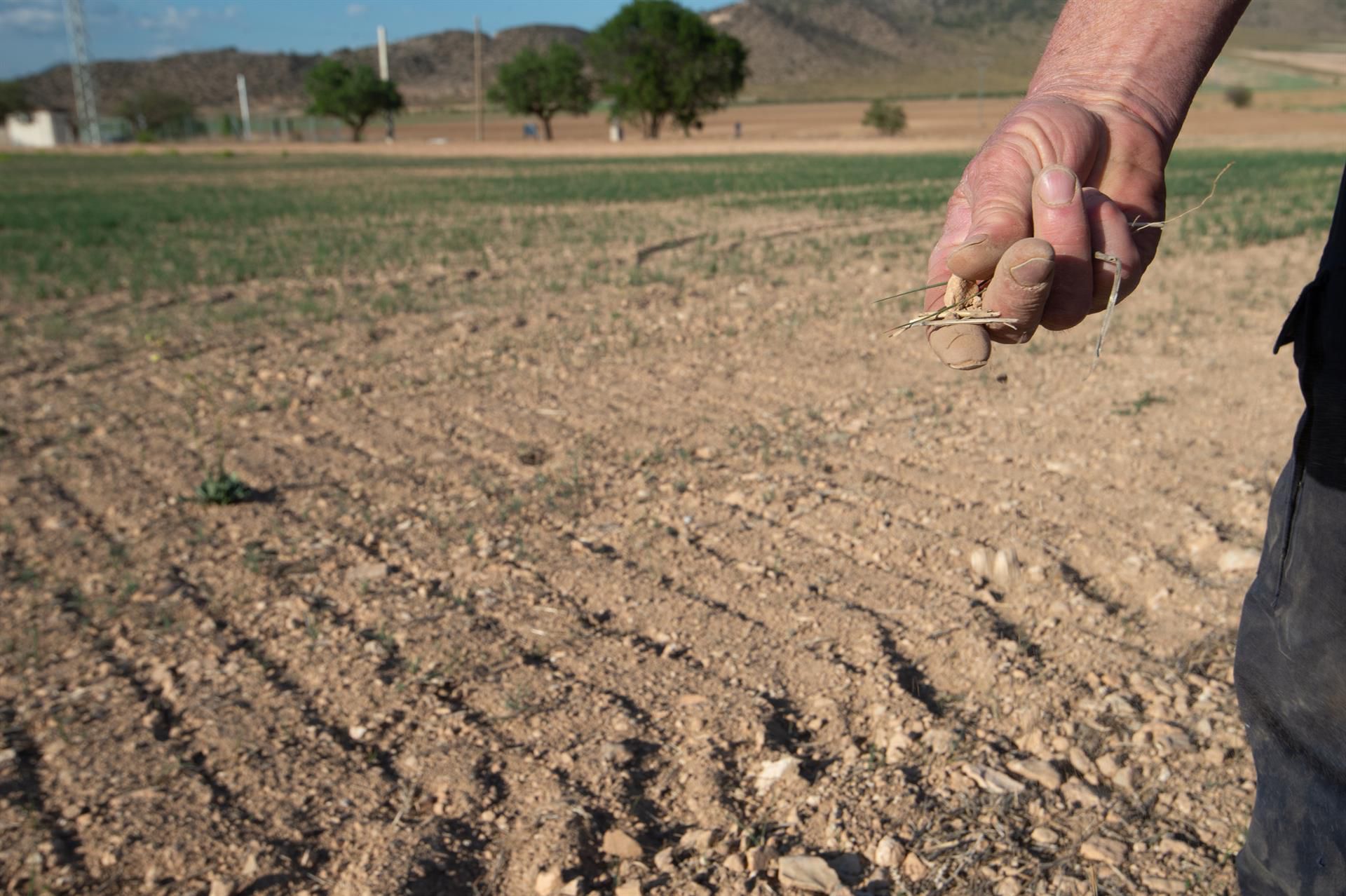 El Gobierno rebaja el 25% en el IRPF para ayudar a 12.600 agricultores y ganaderos canarios