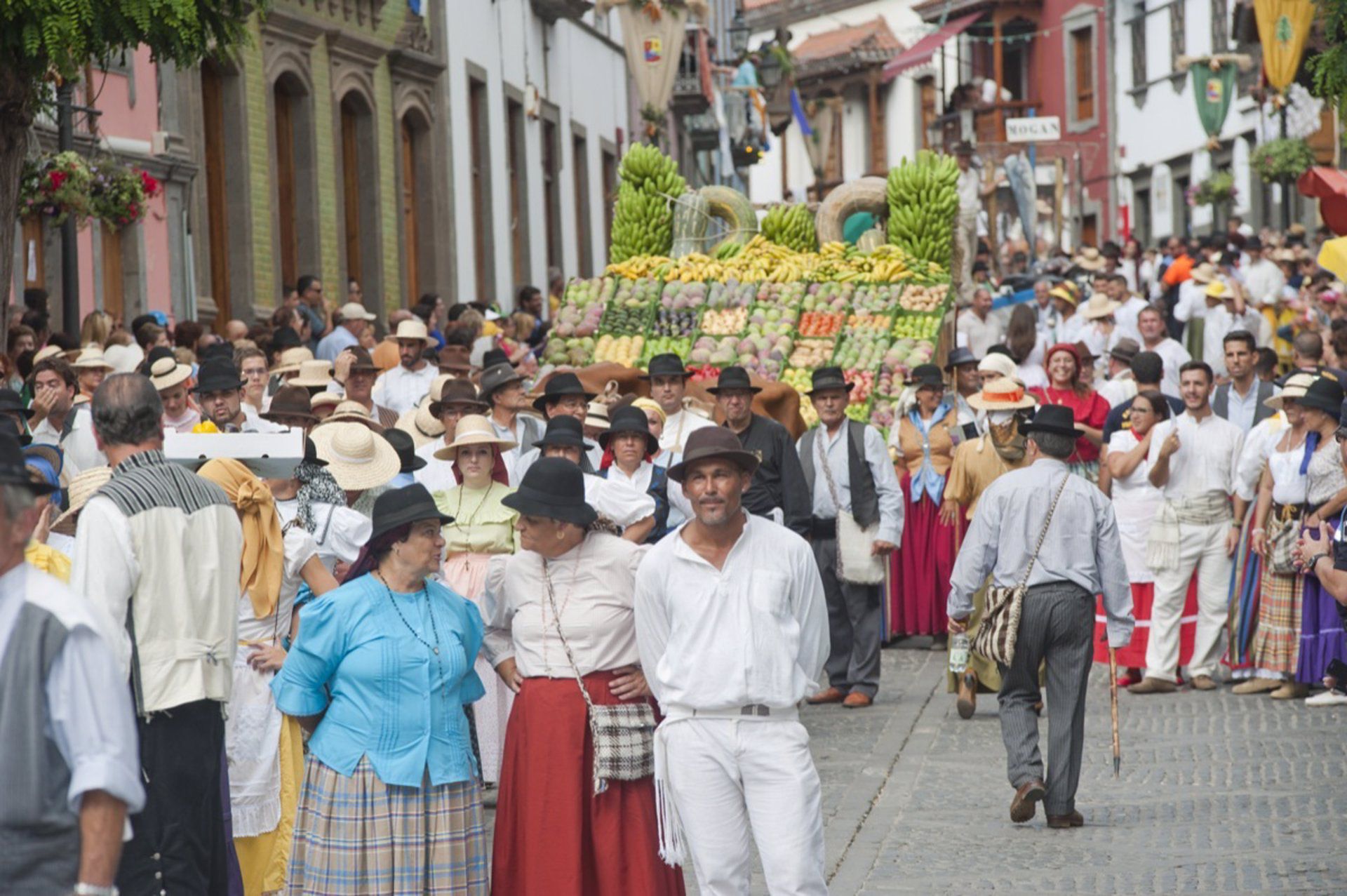 Mañaña jueves se celebra la 71º Romería-Ofrenda del Pino