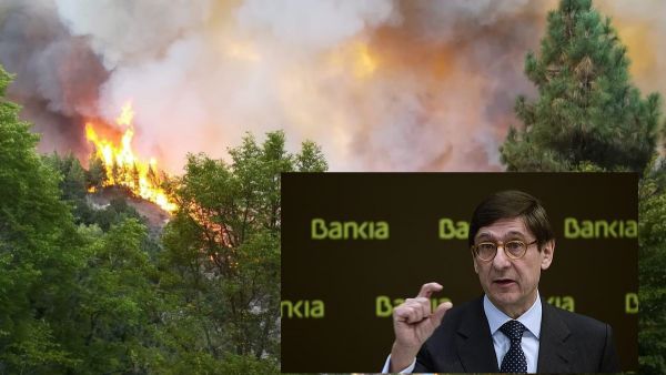 Bankia abre una cuenta para recaudar fondos para el incendio de Gran Canaria y aporta 100.000 euros