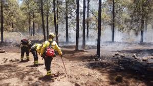 Controlan un conato de incendio en el área recreativa de Llanos de La Pez, en Gran Canaria