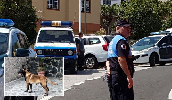Tres víctimas mortales en Canarias desde 2010 por ataques de perros