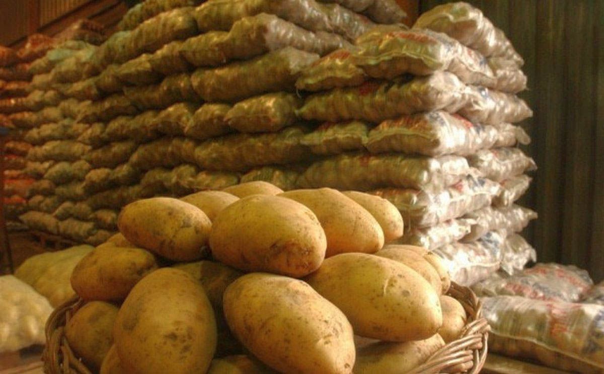 El Ministerio de Agricultura autoriza la importación de papas en Canarias procedentes del Reino Unido